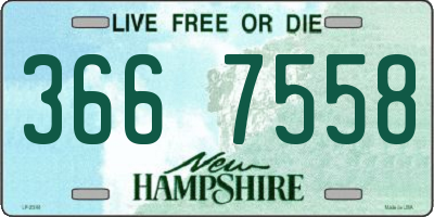 NH license plate 3667558
