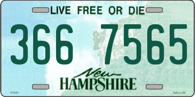 NH license plate 3667565