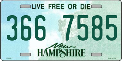 NH license plate 3667585