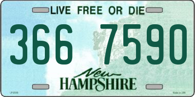 NH license plate 3667590