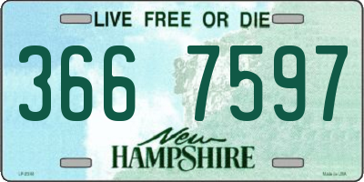 NH license plate 3667597