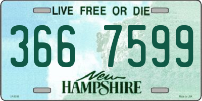 NH license plate 3667599