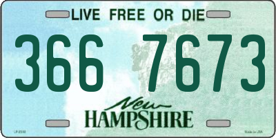 NH license plate 3667673