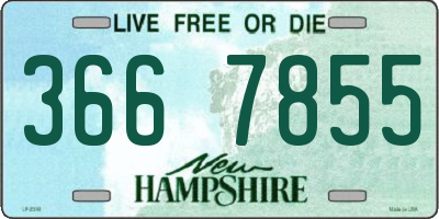 NH license plate 3667855