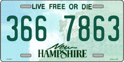 NH license plate 3667863