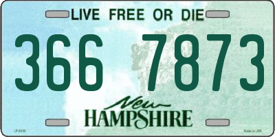 NH license plate 3667873