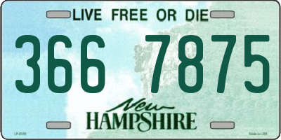 NH license plate 3667875