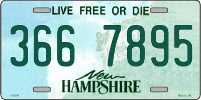 NH license plate 3667895