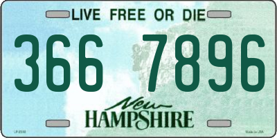 NH license plate 3667896
