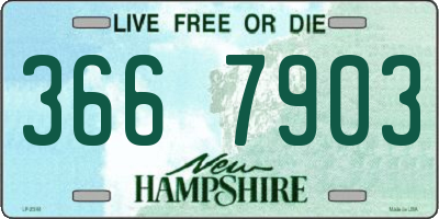 NH license plate 3667903