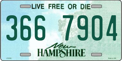 NH license plate 3667904