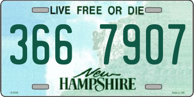 NH license plate 3667907