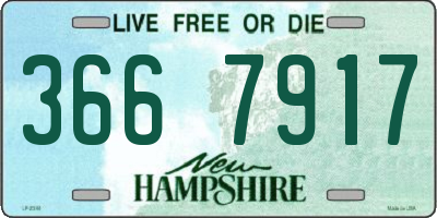 NH license plate 3667917