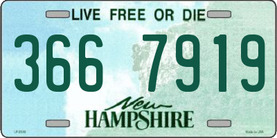 NH license plate 3667919