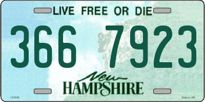 NH license plate 3667923