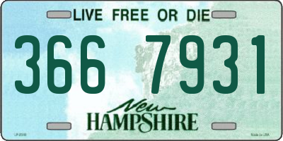 NH license plate 3667931