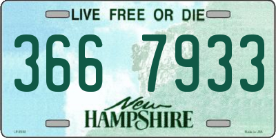 NH license plate 3667933