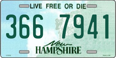 NH license plate 3667941