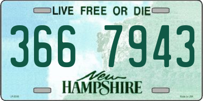 NH license plate 3667943
