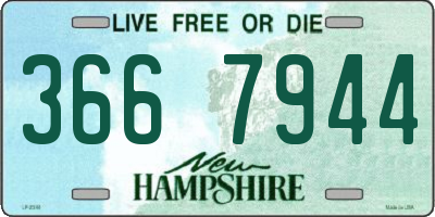 NH license plate 3667944