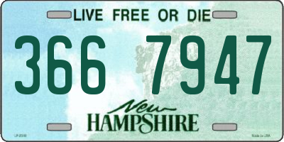 NH license plate 3667947