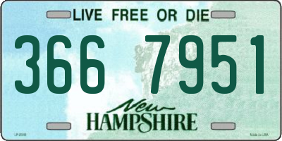 NH license plate 3667951