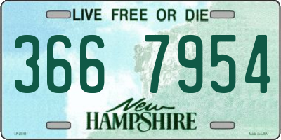 NH license plate 3667954
