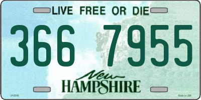 NH license plate 3667955