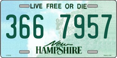 NH license plate 3667957