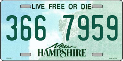 NH license plate 3667959