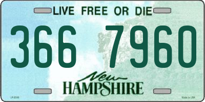 NH license plate 3667960