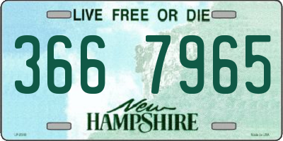 NH license plate 3667965