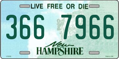 NH license plate 3667966