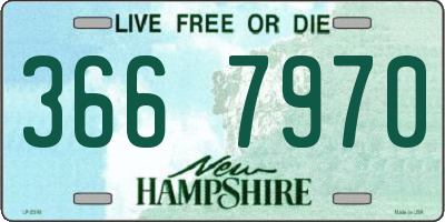 NH license plate 3667970