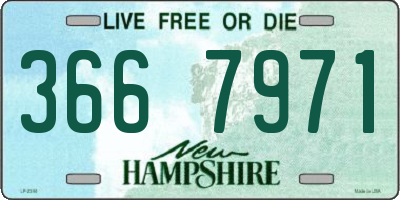NH license plate 3667971