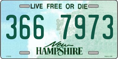 NH license plate 3667973
