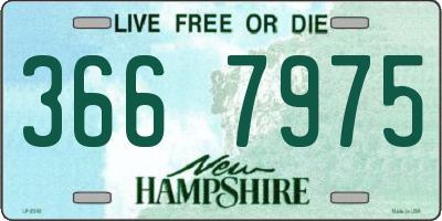 NH license plate 3667975