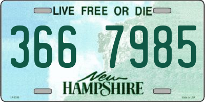 NH license plate 3667985
