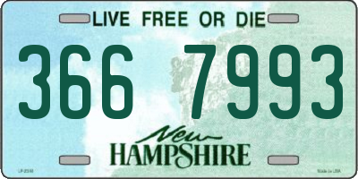 NH license plate 3667993