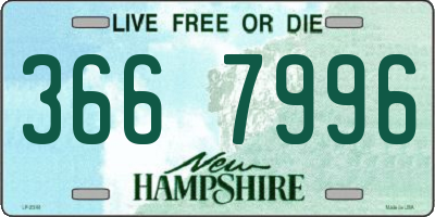NH license plate 3667996
