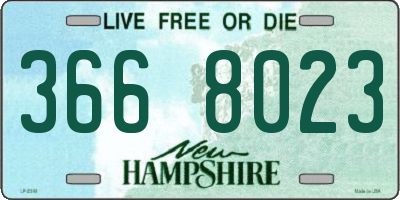 NH license plate 3668023