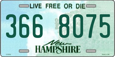 NH license plate 3668075