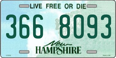 NH license plate 3668093