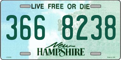 NH license plate 3668238