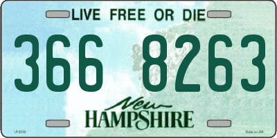 NH license plate 3668263