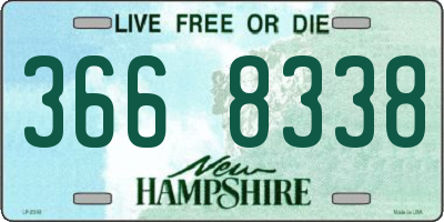NH license plate 3668338