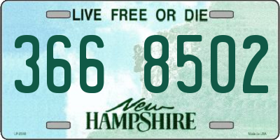 NH license plate 3668502