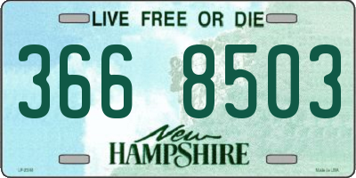 NH license plate 3668503
