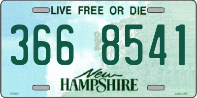 NH license plate 3668541