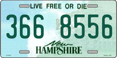 NH license plate 3668556